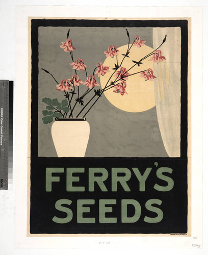 Ferry's seeds