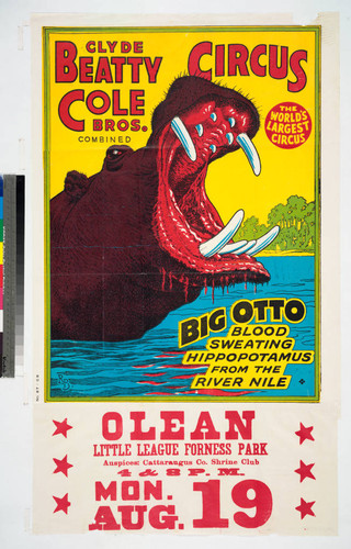 Clyde Beatty Cole Bros. Combined Circus : Big Otto blood sweating hippopotamus from the river Nile