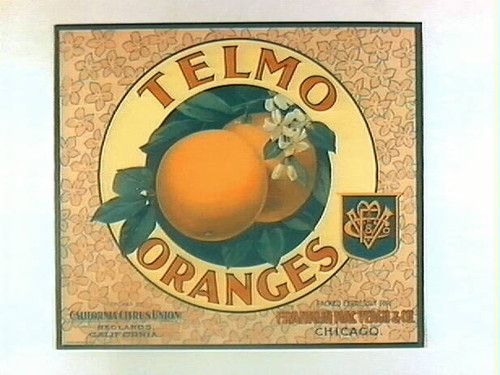 Telmo Oranges
