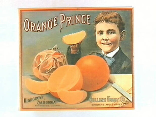 Orange Prince