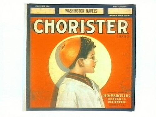 Chorister Brand