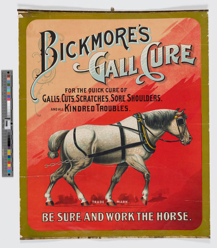 Bickmore's gall cure