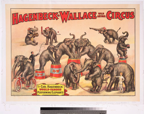 Hagenbeck-Wallace Wild Animal Circus : the Carl Hagenbeck world-famous performing elephants