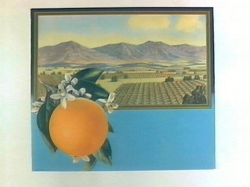 Stock label: orange on branch with framed landscape of orange groves and mountains