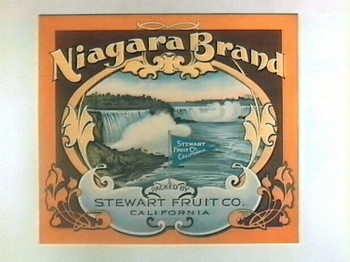 Niagara Brand