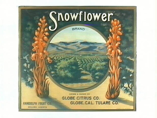 Snowflower Brand