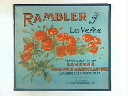 Rambler of La Verne