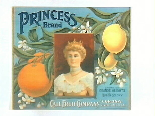 Princess Brand