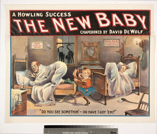 The new baby : a howling success chaperoned by David De Wolf