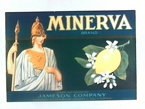 Minerva Brand