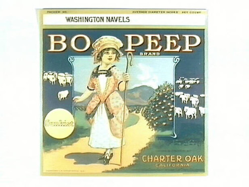 Bo Peep Brand