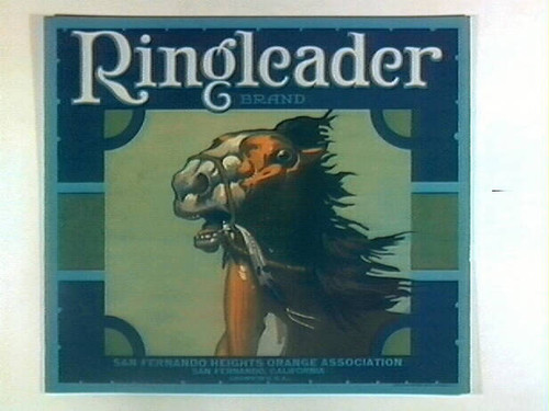 Ringleader Brand