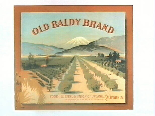 Old Baldy Brand