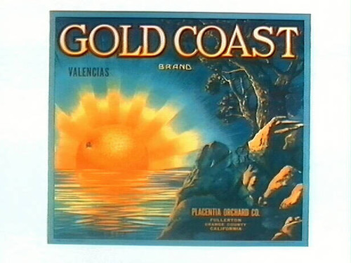 Gold Coast Brand