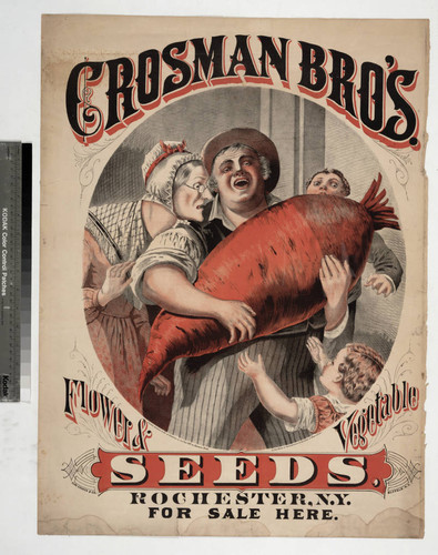 Crosman Bro's. flower & vegetable seeds, Rochester, N.Y. for sale here