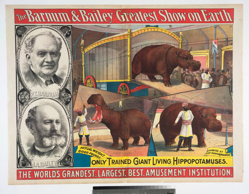 Barnum & Bailey greatest show on Earth : only trained giant living hippopotamuses