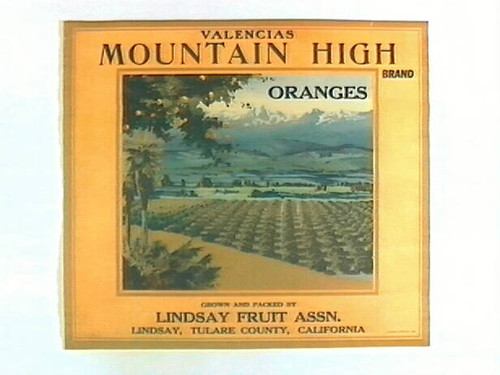 Mountain High Brand
