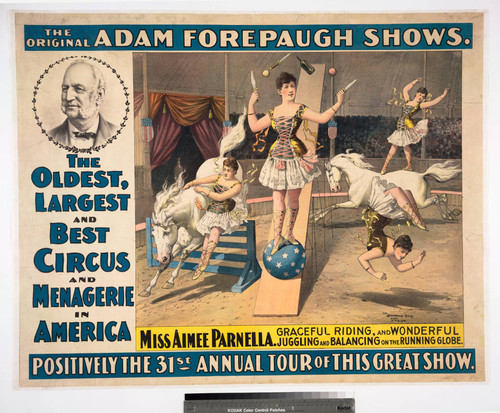 The original Adam Forepaugh shows. : Miss Aimee Parnella