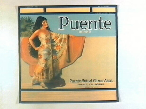 Puente Brand