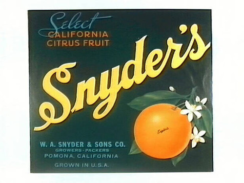 Snyder's