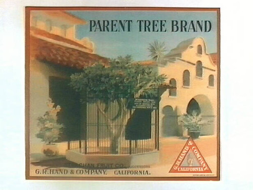 Parent Tree Brand