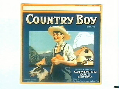 Country Boy Brand