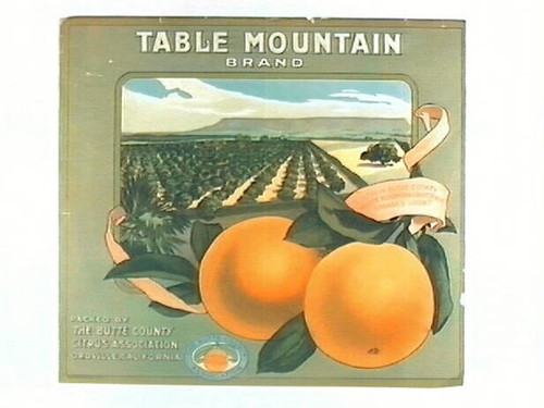 Table Mountain Brand