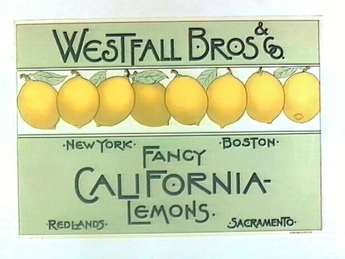 Westfall Bros & Co