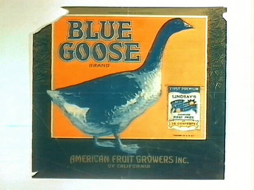 Blue Goose Brand