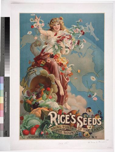 Rice's seeds bring forth the bounty of the earth