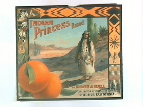 Indian Princess Brand