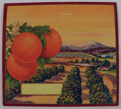 Stock label: oranges on a branch over an orchard, farm house and mountains