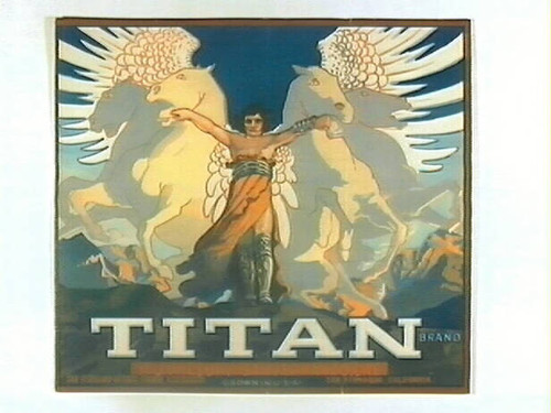 Titan Brand