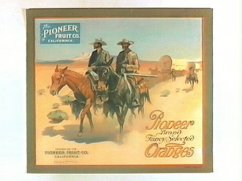 Pioneer Brand