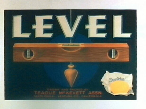 Level