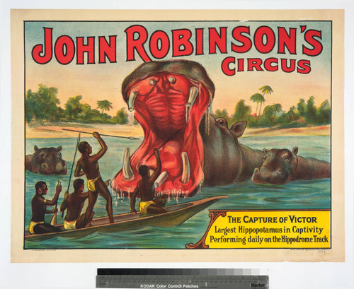 John Robinson's Circus : the capture of Victor largest hippopotamus in captivity performing daily on the hippodrome track