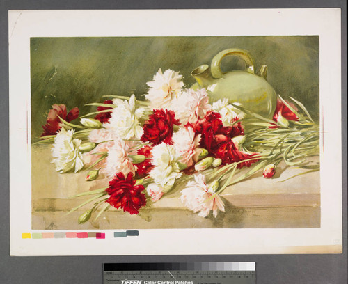 [Carnations and jug]