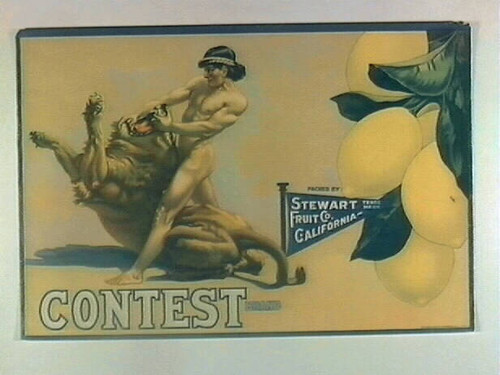 Contest Brand