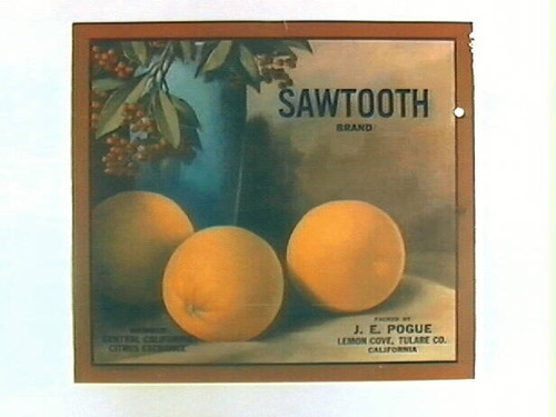 Sawtooth Brand