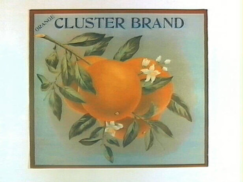 Cluster Brand