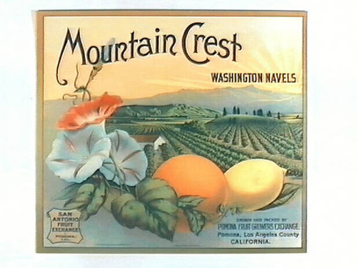 Mountain Crest