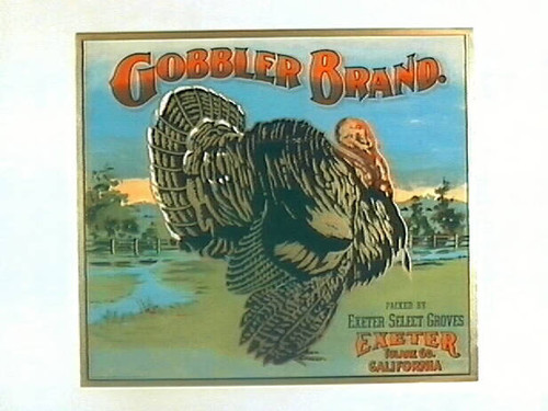 Gobbler Brand