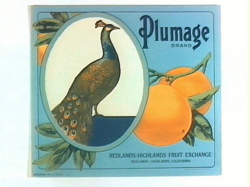 Plumage Brand