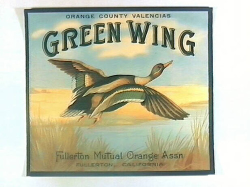 Green Wing