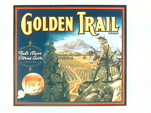 Golden Trail Brand