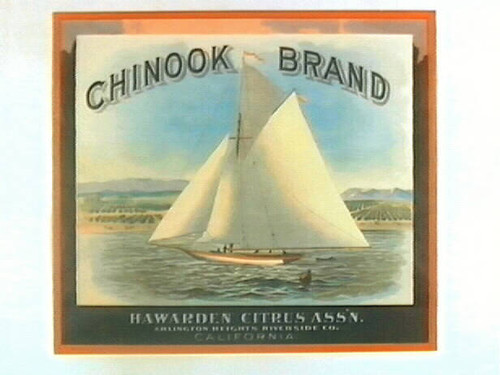 Chinook Brand