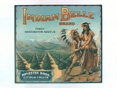 Indian Belle Brand