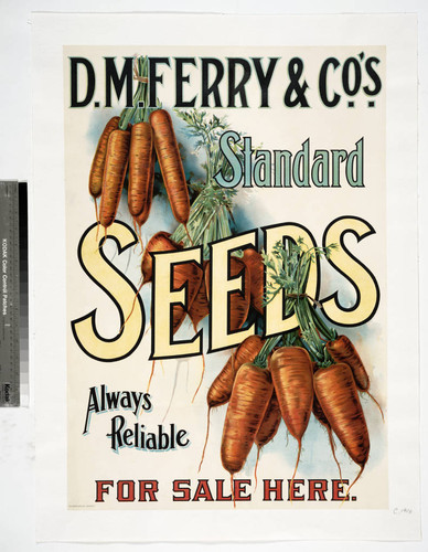 D. M. Ferry & Co.'s. standard seeds always reliable for sale here