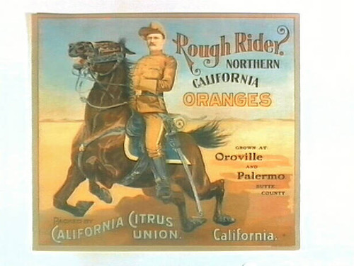 Rough Rider