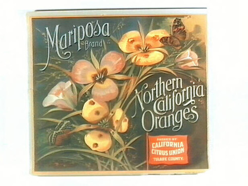 Mariposa Brand